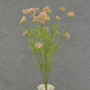 YARROW BUSH X6 22" PLASTIC  LIGHT PINK