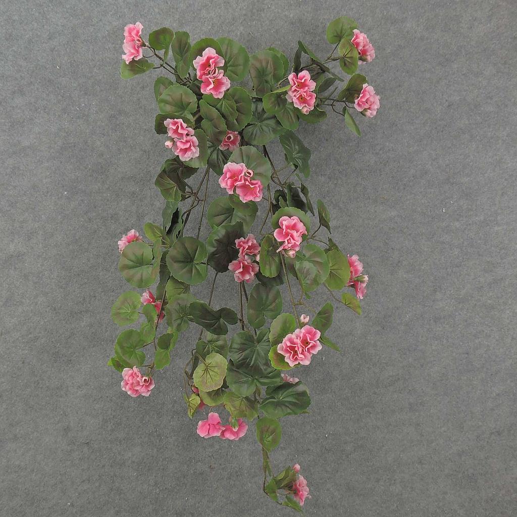 [SE8035] BEGONIA HANGING BUSH W/57 BLMS