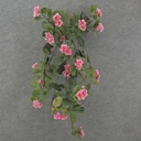 BEGONIA HANGING BUSH W/57 BLMS