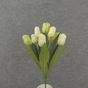 TULIP BUSH 18" X9 SATIN  CREAM/GREEN