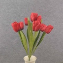 TULIP BUSH 18" X9 SATIN  RED