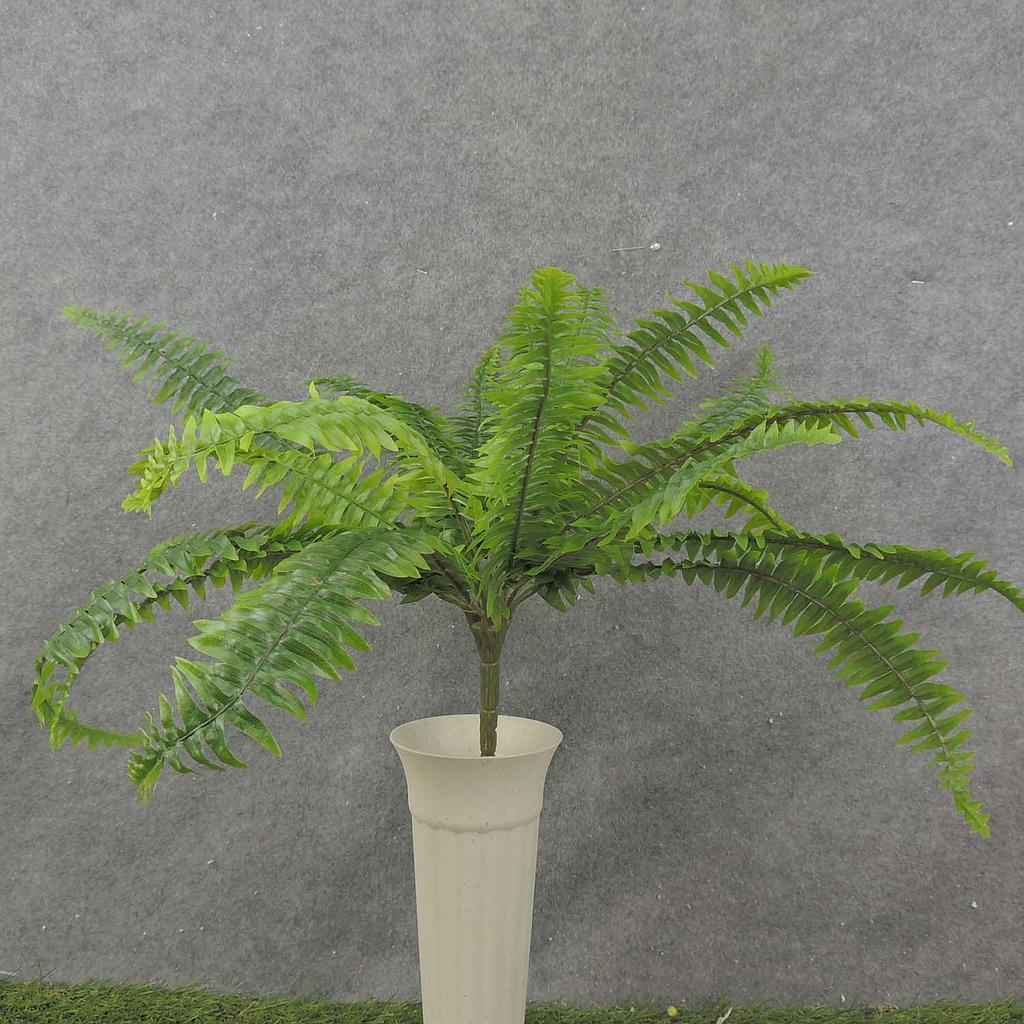 [SE8101] 19" BOSTON FERN REAL TOUCH X20 LVS