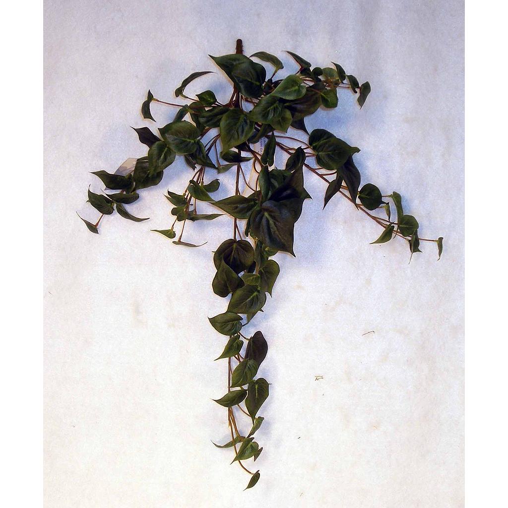 18" FOLIAGE PHILO HANGER X109 LVS
