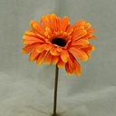 GERBERA SHORT STEM  ORANGE