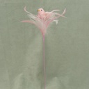 BIRD 3&quot; W/FEATHERS &amp; PIC L.PINK 16&quot; O.A.L