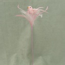 BIRD 3" W/FEATHERS & PIC L.PINK 16" O.A.L