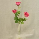 ROSE ENGLISH SPRAY X3  24"  BEAUTY