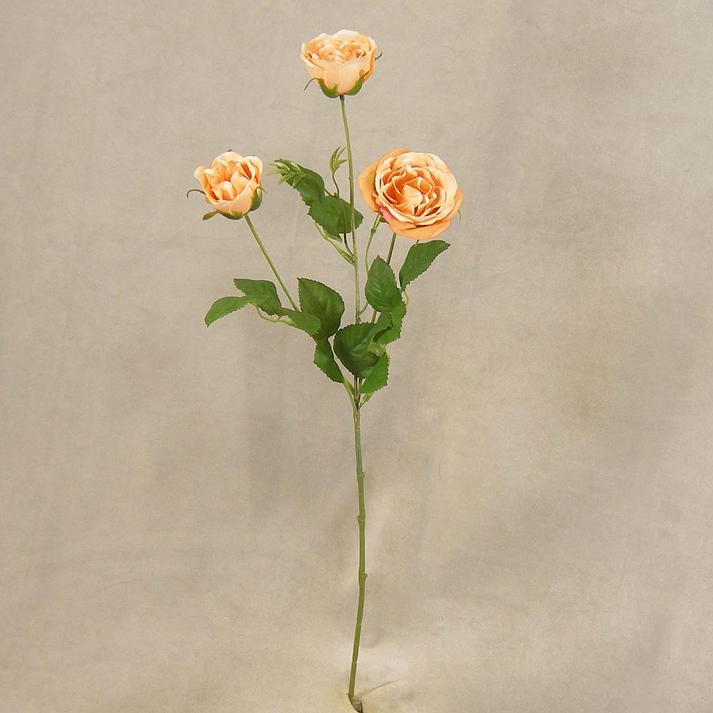ROSE ENGLISH SPRAY X3  24"  PEACH