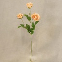 ROSE ENGLISH SPRAY X3  24"  PEACH
