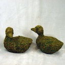 DUCK 6" X 8" SISAL 2 STYLES