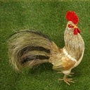 17" ROOSTER SISAL STANDING