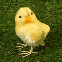4" CHICK SISAL (2 STYLES) YELLOW