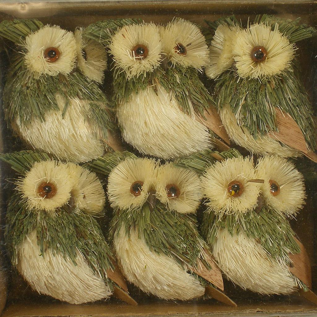 [SJ4076-GRN] 2.5" OWL SISAL (6/WINDOW BOX) GREEN