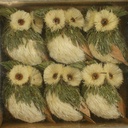 2.5" OWL SISAL (6/WINDOW BOX) GREEN