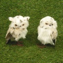 6.5" OWL PAIR OF 2 WHITE