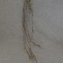 72" GARLAND TWIGw/ORANGE LEAVES