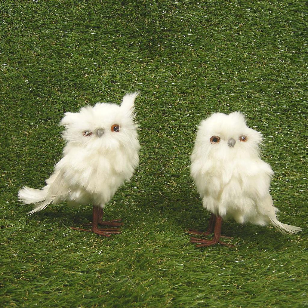 [SJ4126] 6" OWL PAIR OF 2 WHITE