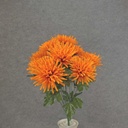MUM SPIDER BUSH X12 19"  ORANGE