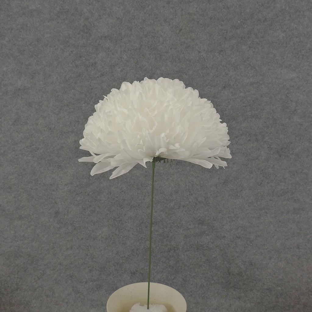 [SEF6001-CRM] 12" FOOTBALL MUM PICK (8" BLM) CREAM