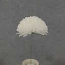 12" FOOTBALL MUM PICK (8" BLM) WHITE