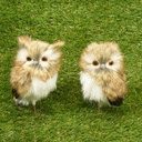 5" OWL PAIR OF 2 NATURAL