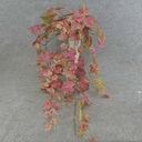 GRAPE IVY HANGER 39" 159 LVS RHUBARB
