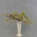 GRAPE IVY BUSH VINE 158 LVS FROSTED RED/GREEN