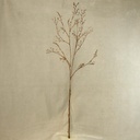 39" SEED SPRAY BROWN