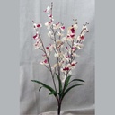27" PHALAENOPSIS BUSH X5 MINI CREAM/PURPLE