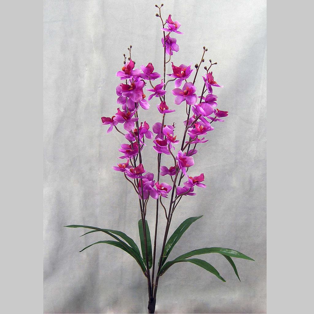 [SG13-PUR] 27" PHALAENOPSIS BUSH X5 MINI PURPLE