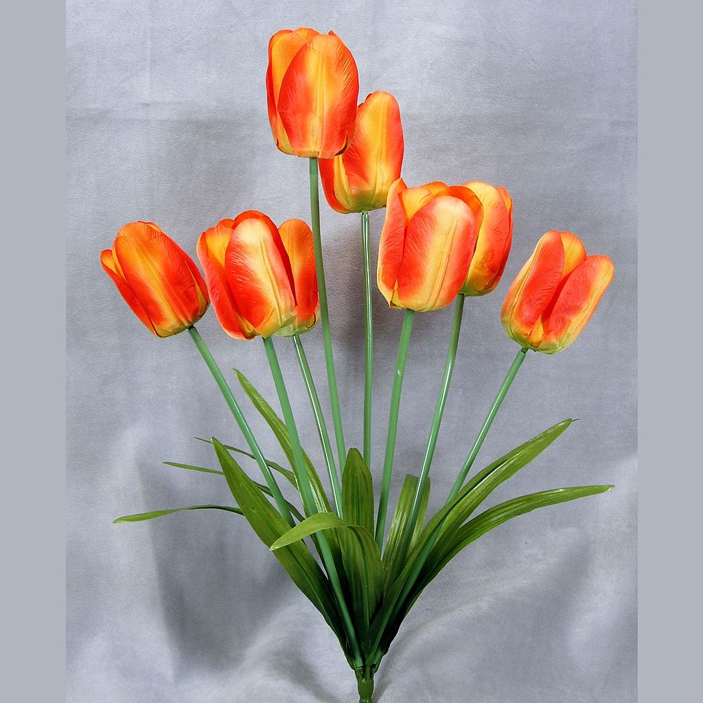 20" TULIP BUSH X8 ORANGE/YELLOW (SATIN)