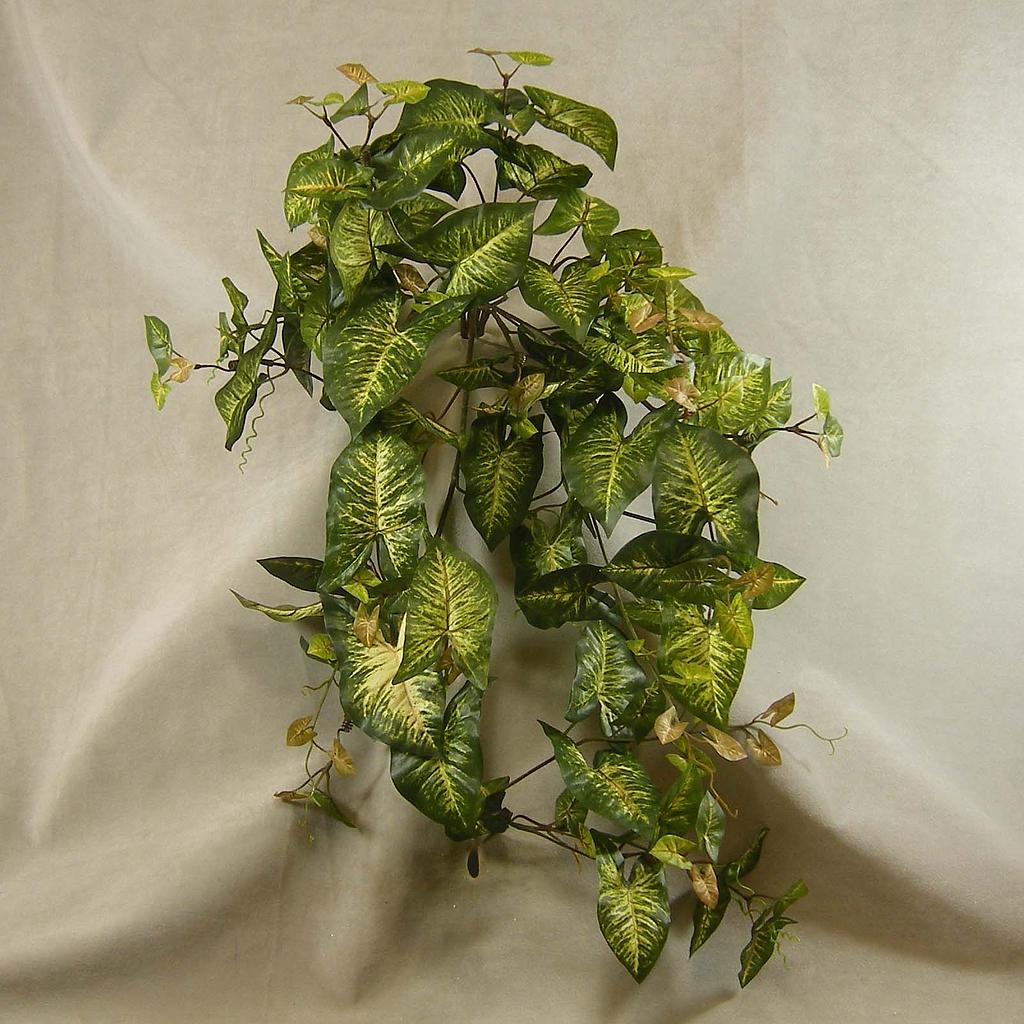 33" FOLIAGE SYGONIUM HANGING BUSH W/155 LVS