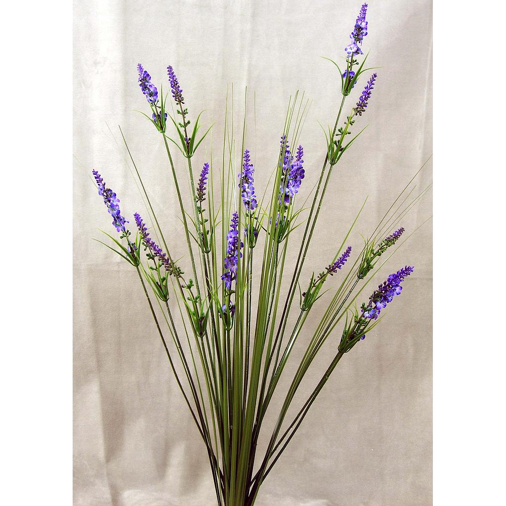 LAVENDER/ONION GRASS 26&quot; PURPLE