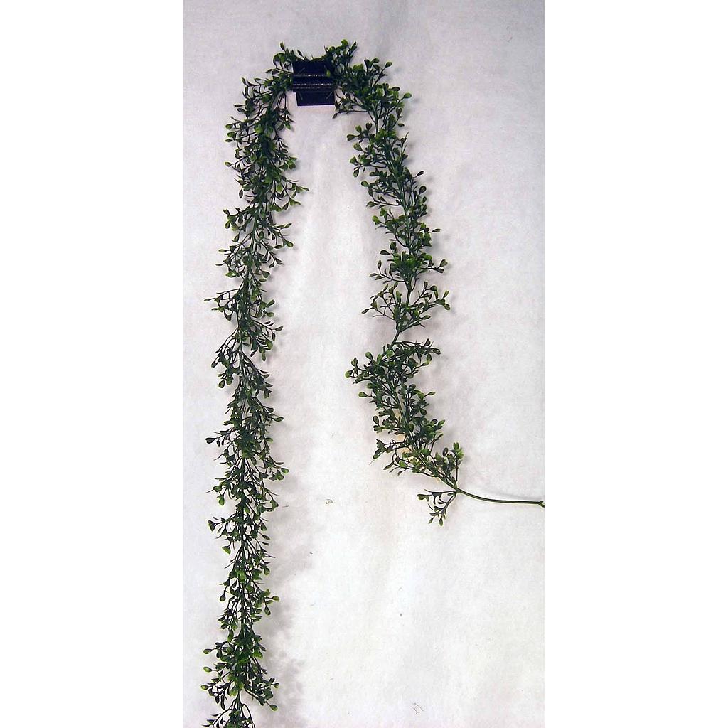 [SG51] 6' GARLAND BOXWOOD