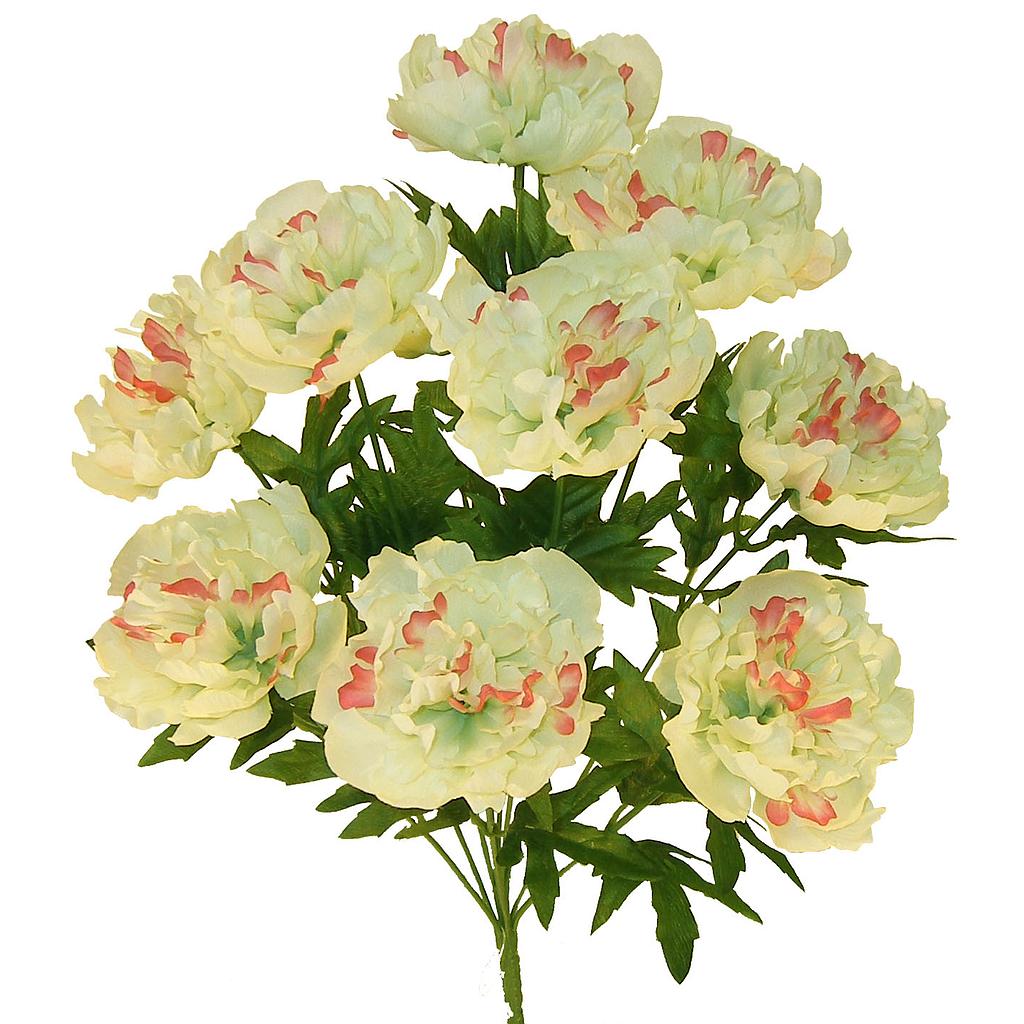19" PEONY BUSH X10 CREAM/GREEN