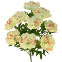 PEONY BUSH X10 19" CREAM/GREEN