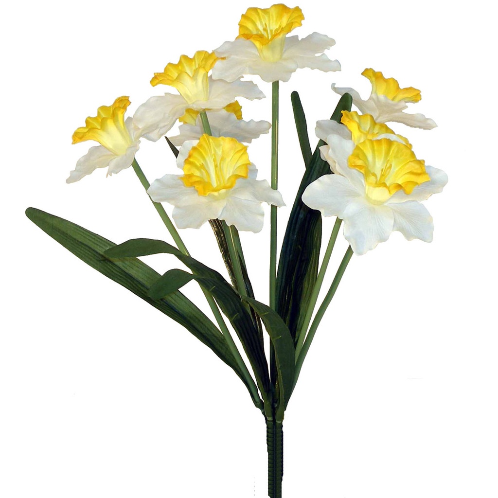 [SG7-WYL] 19.5" DAFFODIL BUSH X8 WHITE W/YELLOW CUP