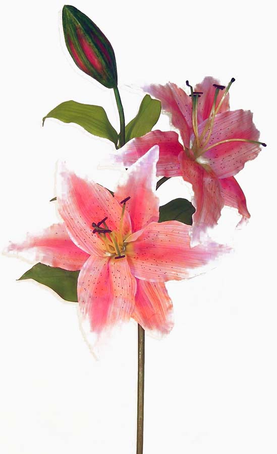 LILY TIGER DISPLAY SPRAY FUSCHIA 16" DIA/55" TALL