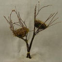 NEST 3.5" IN 15" TWIG BRANCHES 2-ASSORTED