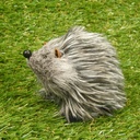 HEDGEHOG 3.25" X 4"