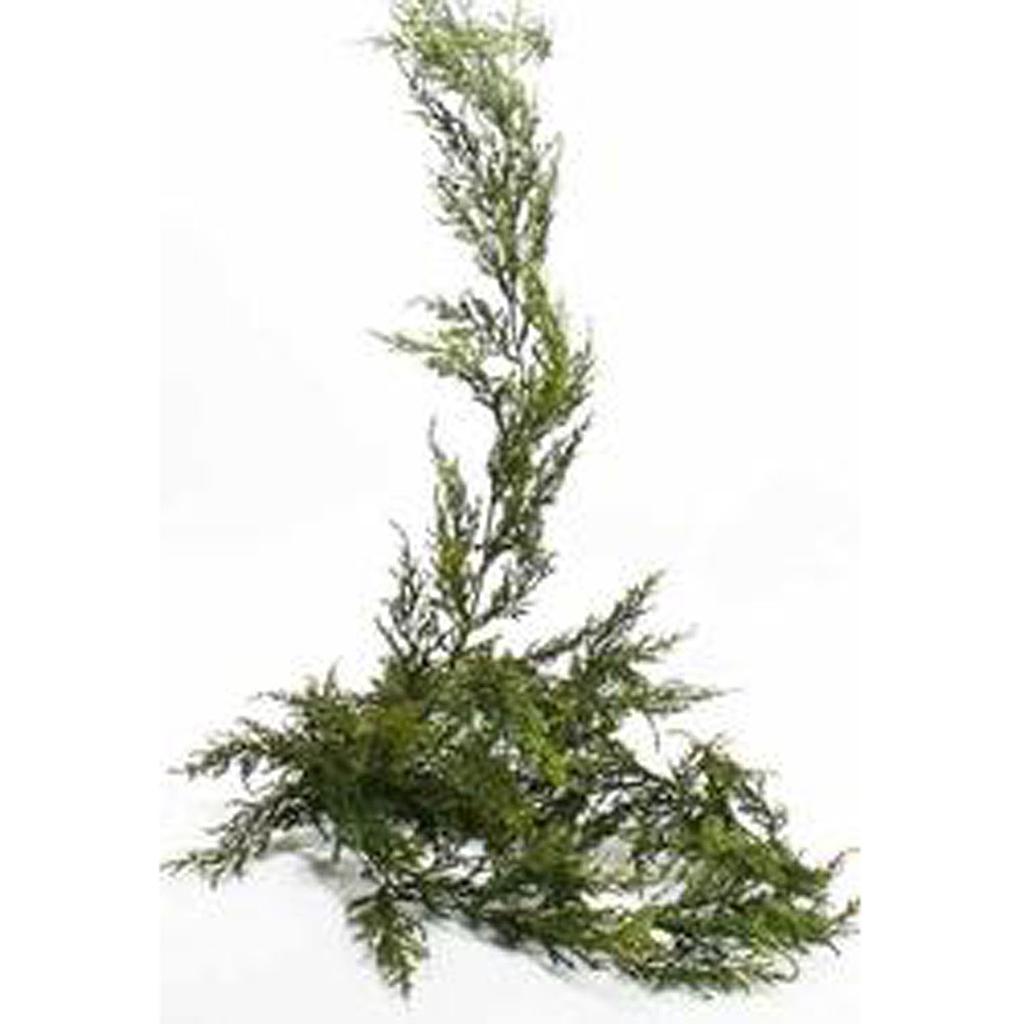 [SGF41-TTG] 6' GARLAND PINE POLY TT GREEN TWO-TONED GREEN
