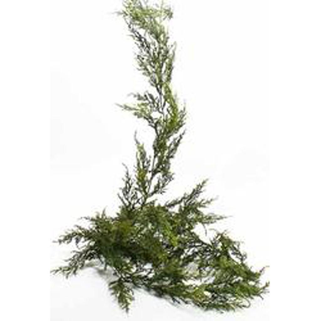 GARLAND PINE POLY 6' TT GREEN  TWO-TONED GREEN