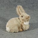 BUNNY 6"H X 6.5"     BROWN