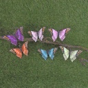 BUTTERFLY 5" FEATHER 6-ASST(24/BOX)