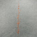 44" BERRY STEM/TWIG ORANGE