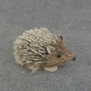 HEDGEHOG 5" x 3.5" SMALL