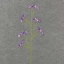 28" FLOWERING H/W BERRY SPRAY  PURPLE
