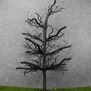 43" TREE BLACK TWIG/GLITTER