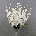 25" GLADIOLUS BUSH WHITE X10