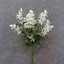 LILY MINI BUSH WHITE